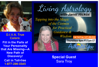 Sara-Troy-Banner-e1370272954836