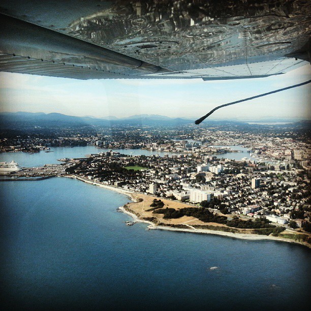 1235912_527978267276038_199456673_n