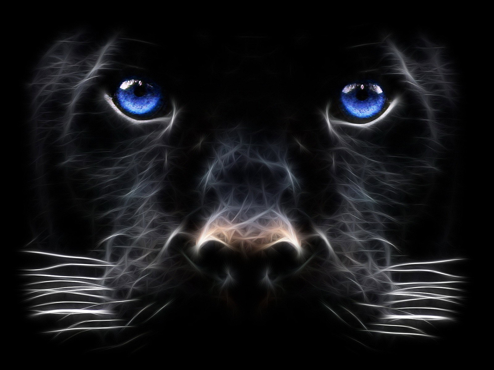 Backgrounds-Windows-7-Black-Panther-Big-Cat-Desktop-Wallpaper