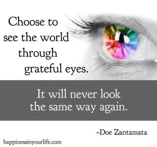 308128_137559833018509_112631092178050_196568_1822272031_n