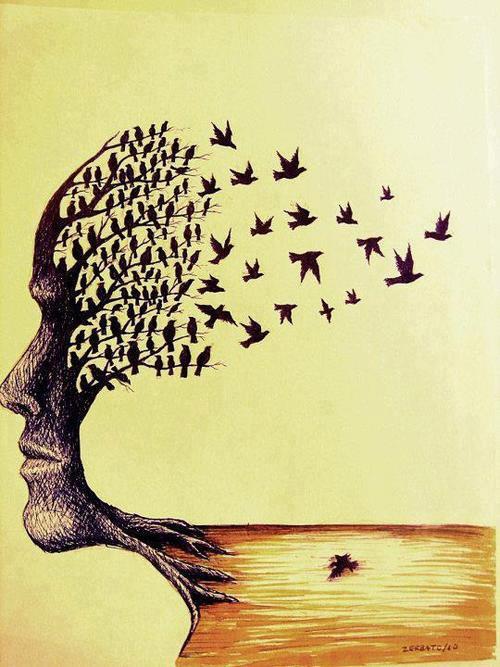 208967_10151599845513185_473938194_n