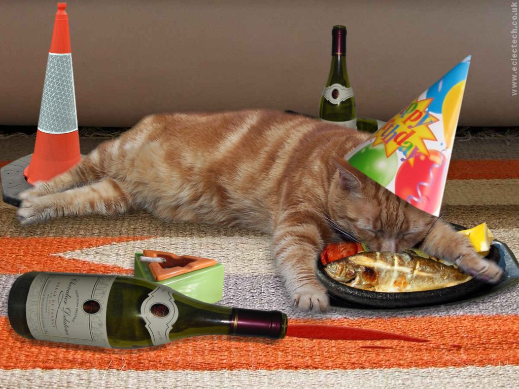 drunkcatbirthday-wallpaper