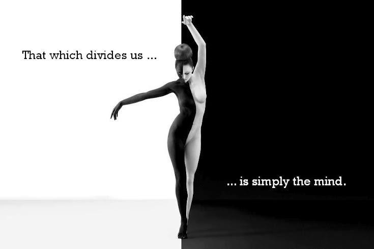 311259_441492352554791_1991521896_n