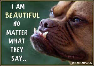 387361_10150469538038769_1143673205_n