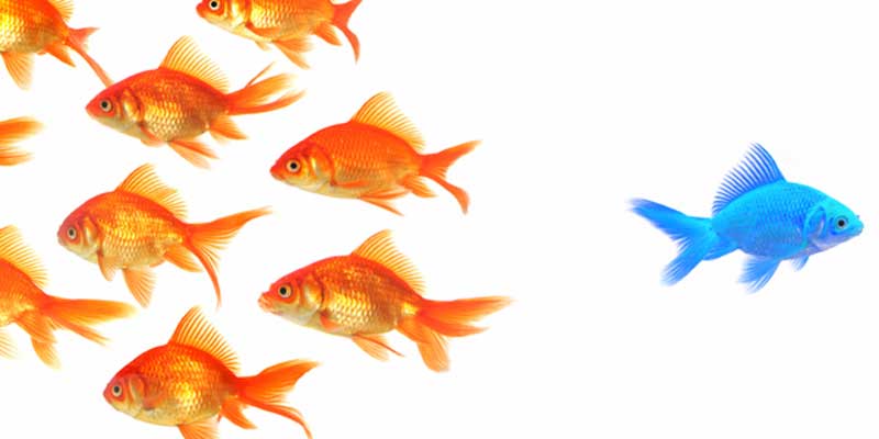 image_time-new-style-leadership