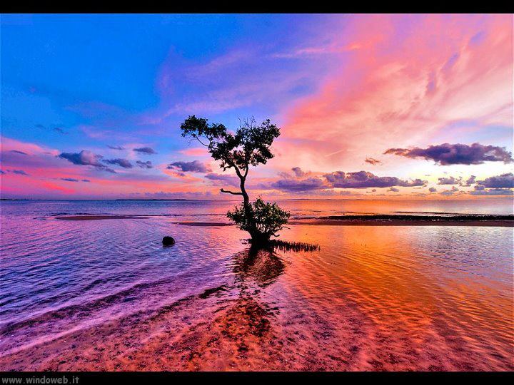 539076_388092364589400_1060494639_n