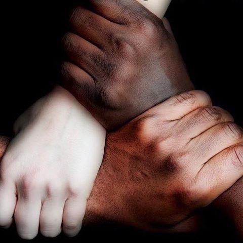 13590440_1464679823561119_3328808214157708601_n