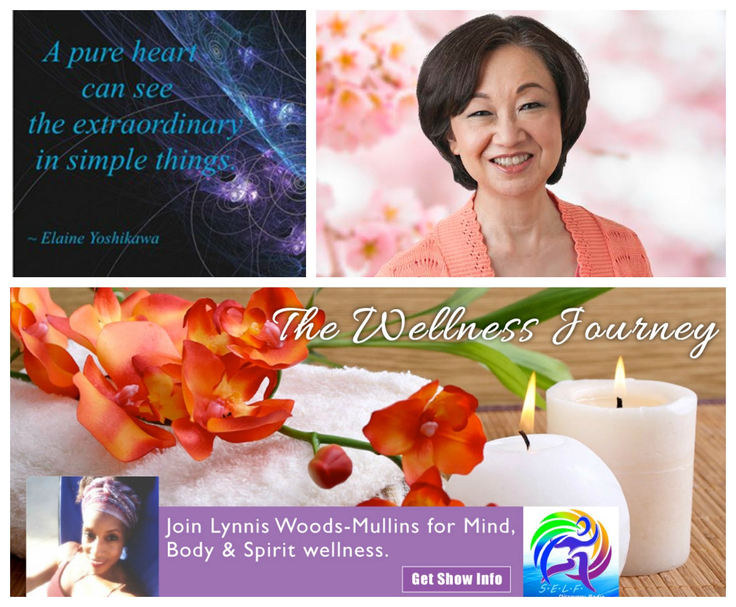 Elaine Yoshikawa Show Banner