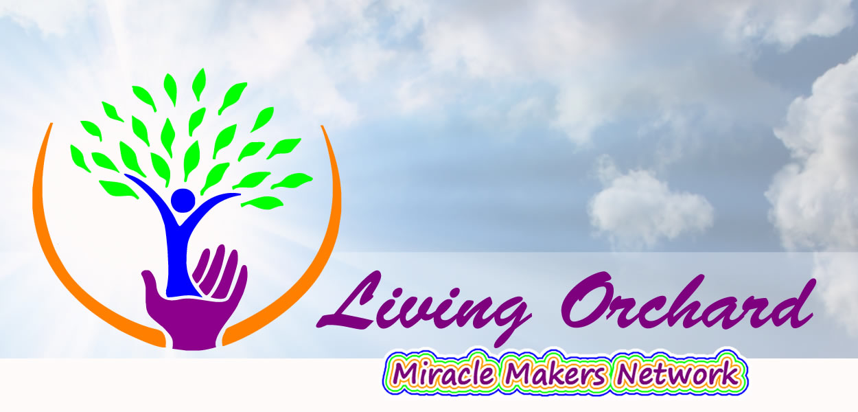 The Living Fractals Company