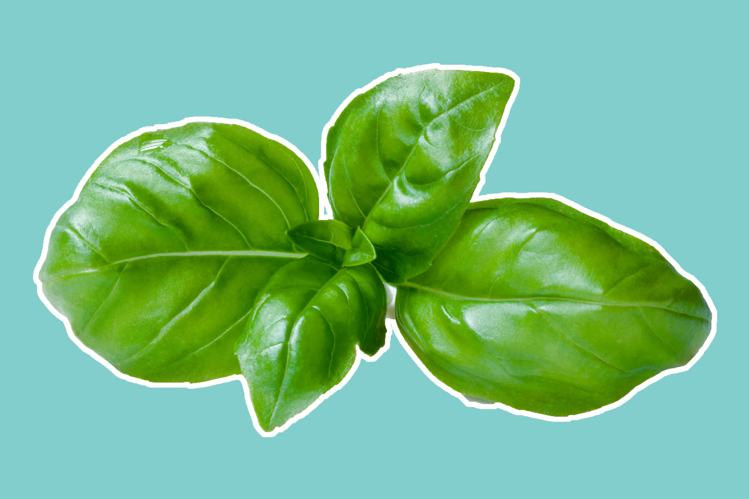 05-8-natural-recipes-for-amazing-skin-from-a-plastic-surgeon-basil