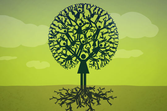 img_treeIllustration_540x360