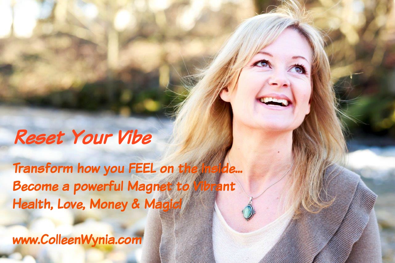 Reset Your Vibe Discovery Talk Radio show with Sara Troy - May 31 2016 (4)