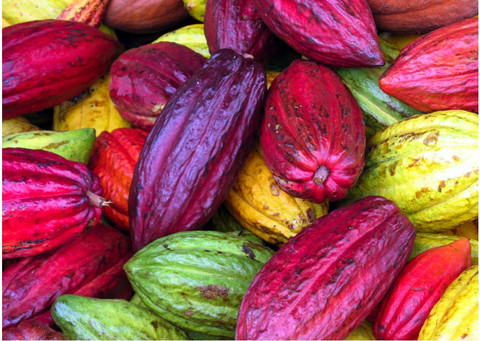 image_625635b2-ebad-4884-b317-cef6b3dc0763_large