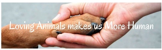 Loving Animals makes us More Human