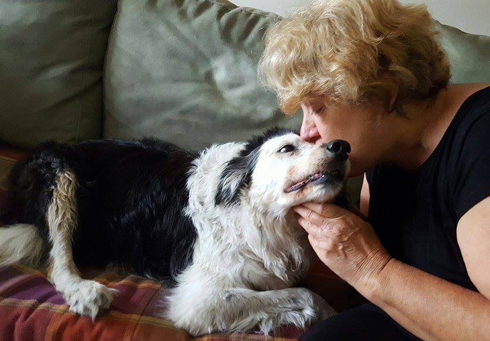 14012298_10157205223645177_849499671_n (1)