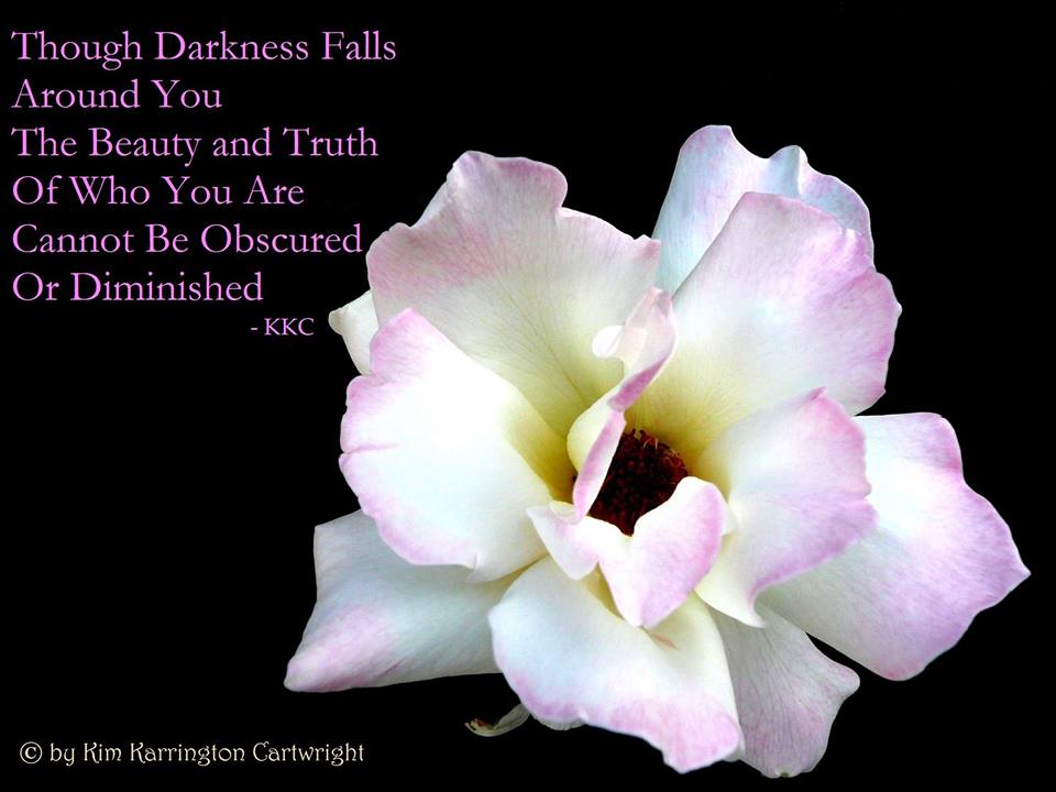 14034712_551954221662886_952896267664389941_n