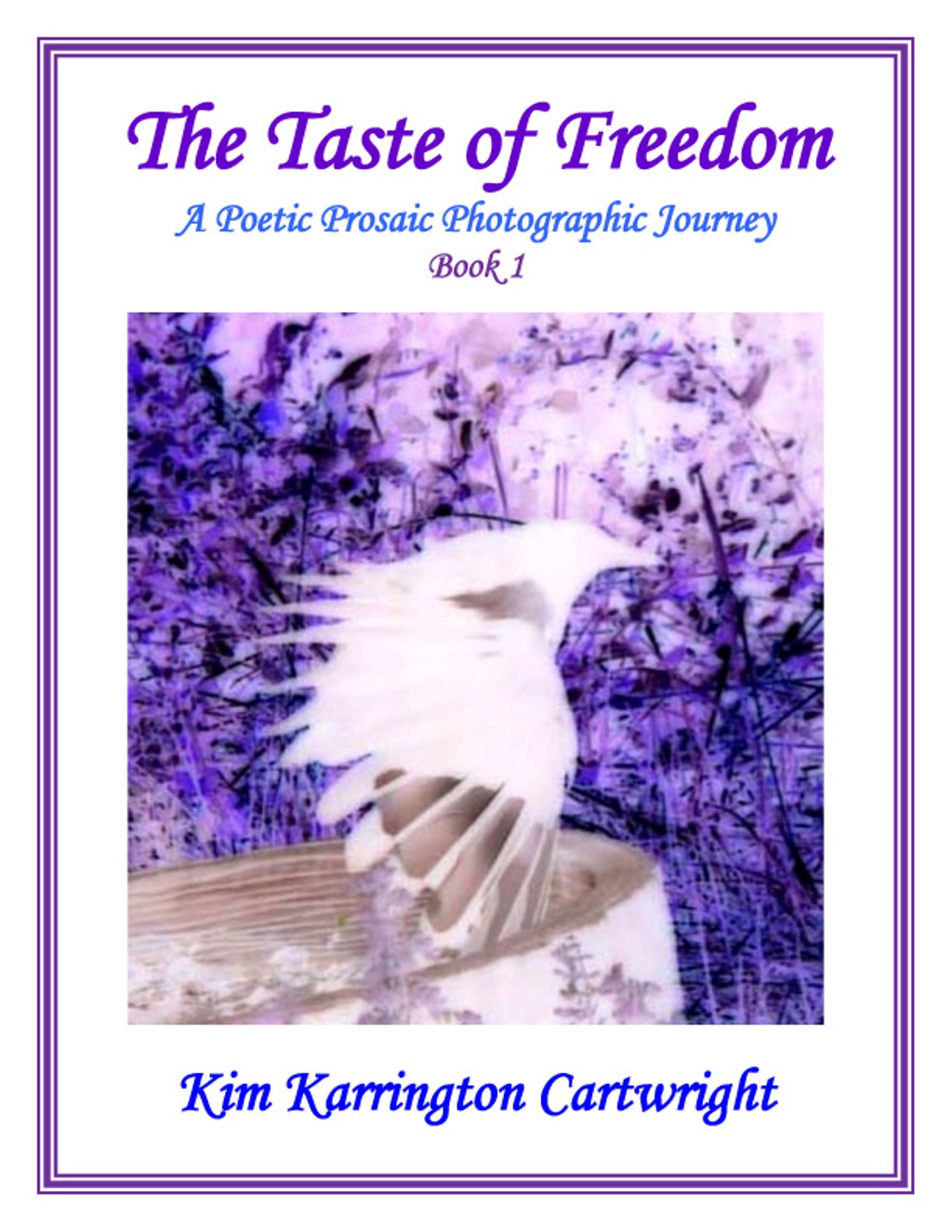 front-cover-for-kkc-book-1-amazon-bestest