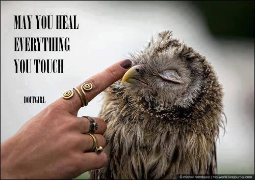 1622833_639450766128417_536397362_n