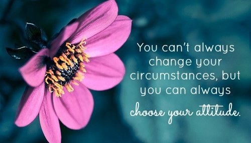 aaeaaqaaaaaaaatpaaaajge4ogyyzwu1lwe5otitnde4ny05odqylwy4zjc2ytnmmmnhyg