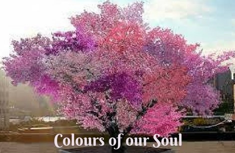 Colours of our Soul