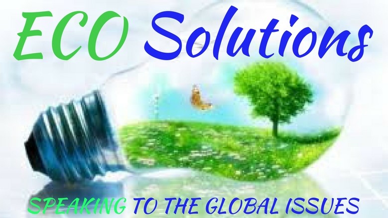 eco-solutions-banner