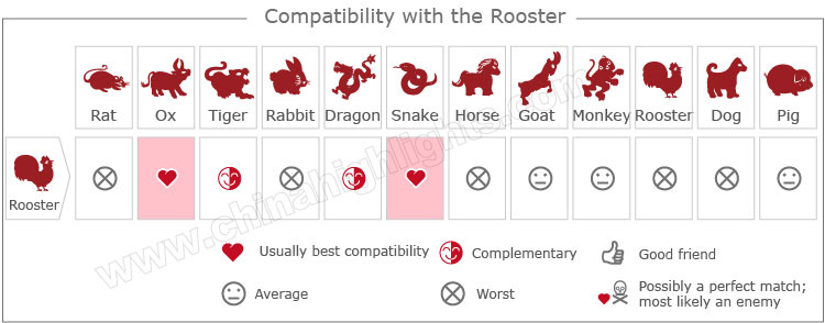 rooster-compatibility
