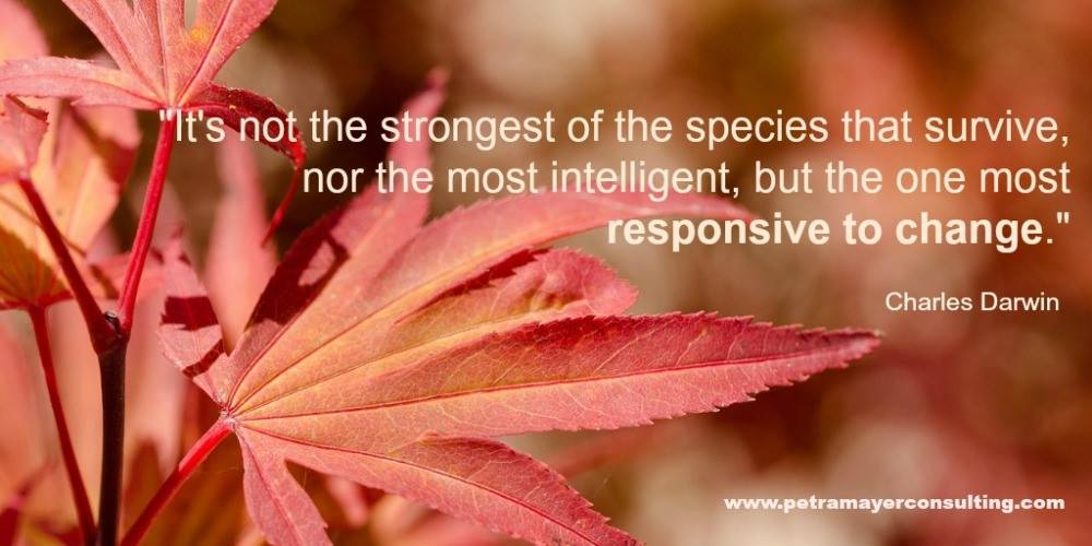 16178391_1089198114559962_8807228743405256281_o