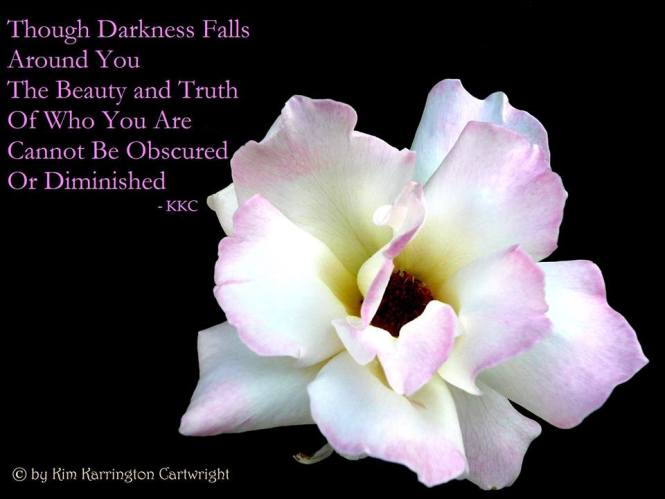 14034712_551954221662886_952896267664389941_n